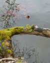 08 Ellenbogen links